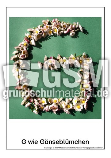 G-wie-Gänseblümchen.pdf